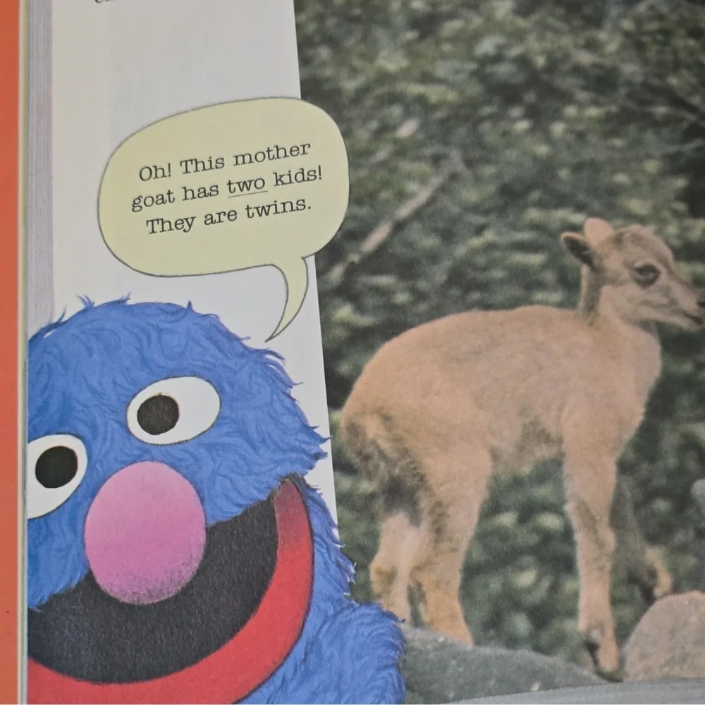 1980 Vintage‎ Book Sesame Street Grover's Book Of Cute Little Baby Animals